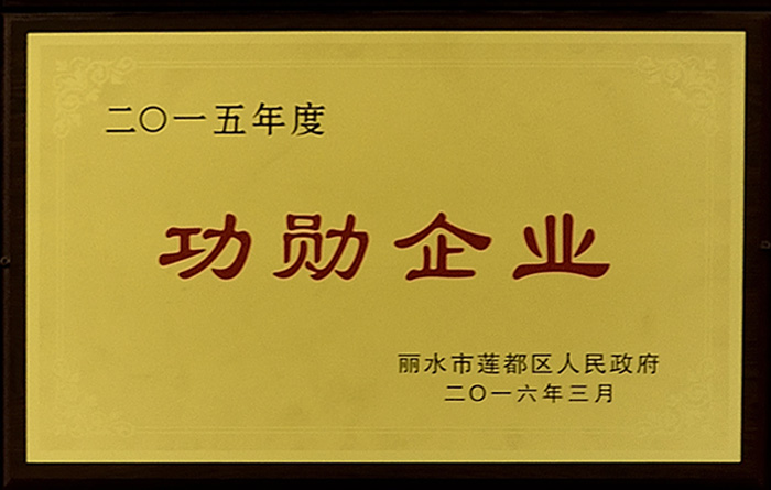 2015年功勋企业