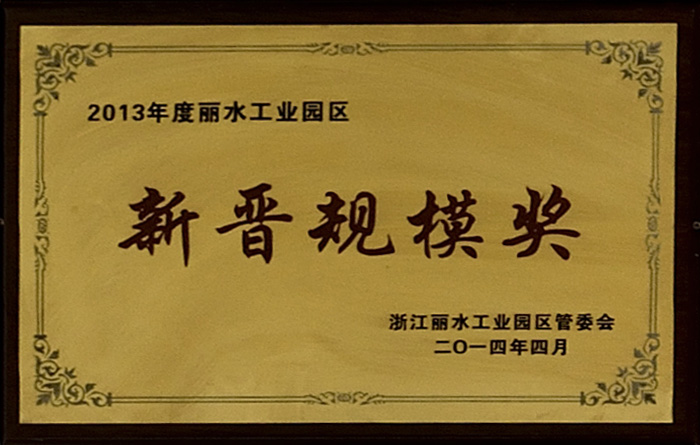 2013年丽水工业园区新晋规模奖